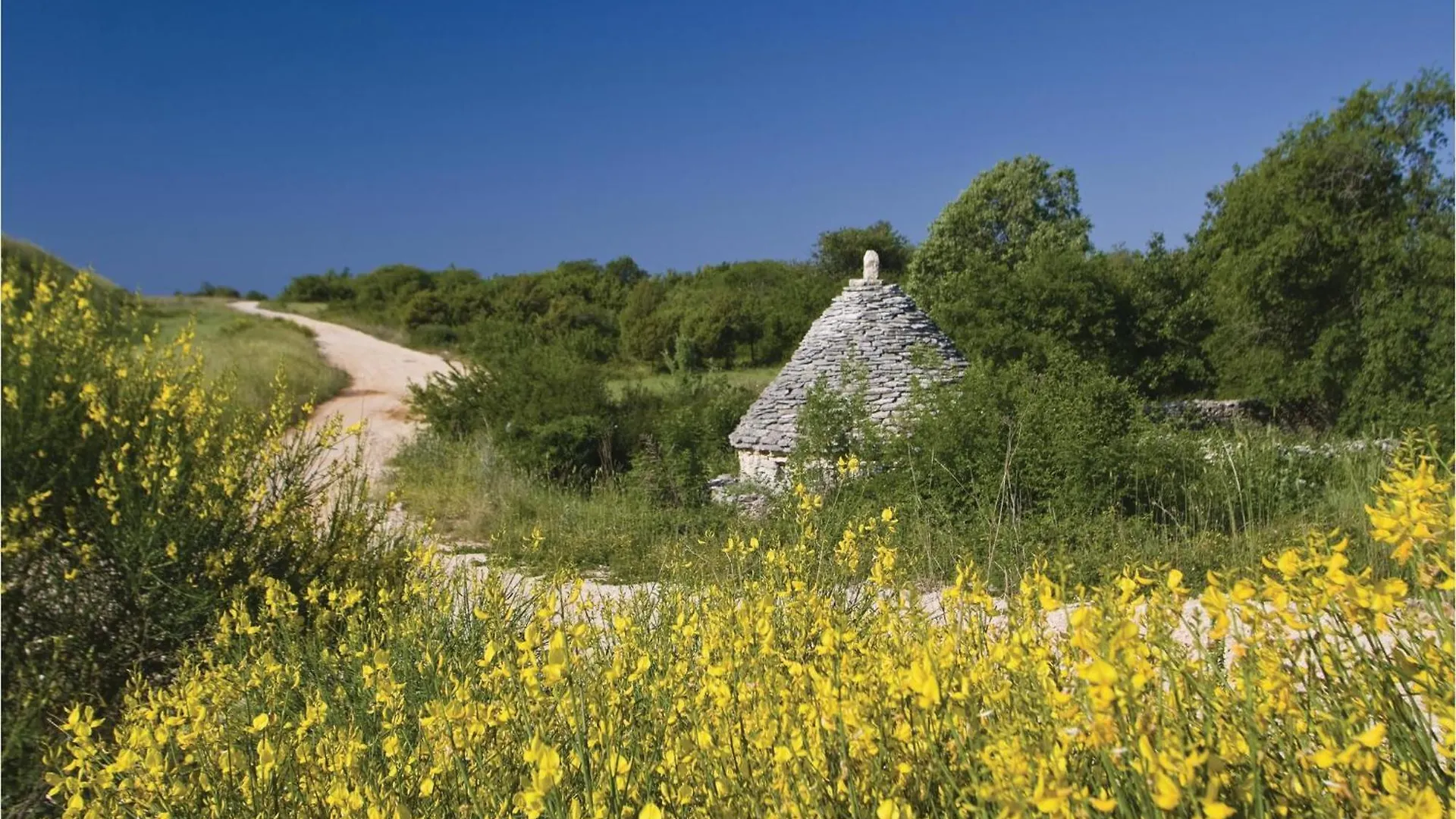 Nice Home In Skitaca With Wifi Sajini Croatia